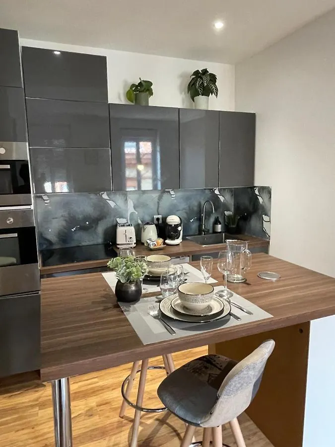 Appartement Climatise Avec Balcon Et Parking Prive Toulouse