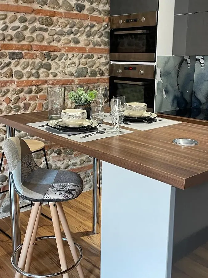 شقة Appartement Climatise Avec Balcon Et Parking Prive تولوز فرنسا